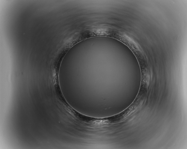 X0000094060465200710261229