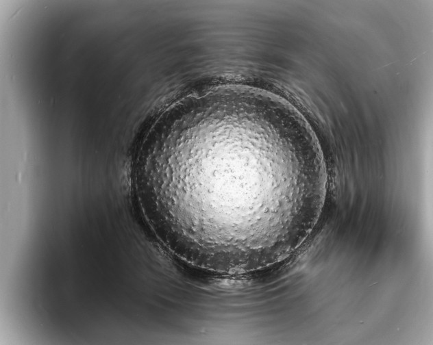 X0000094060466200710261229