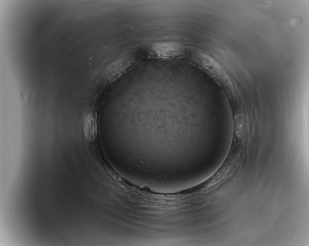 X0000094060471200710261229
