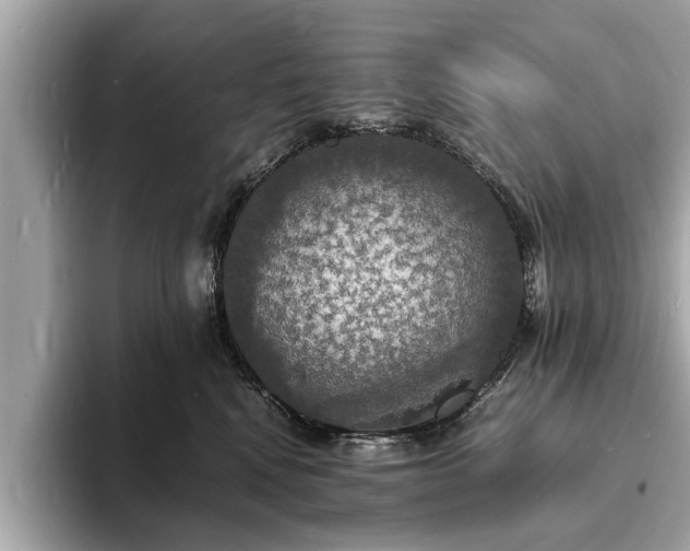 X0000094060472200710261229