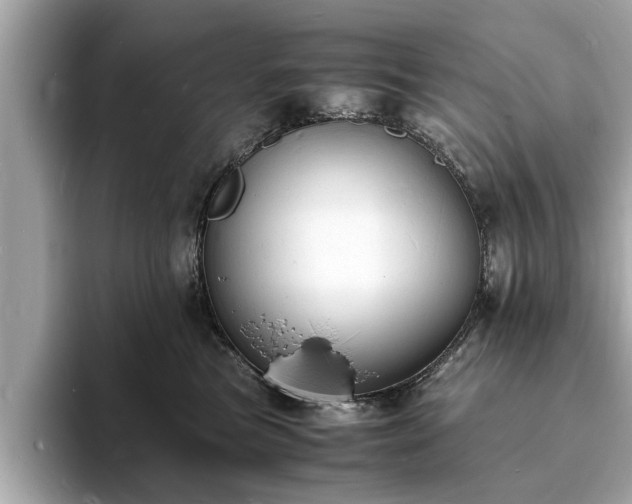 X0000094060473200710261229
