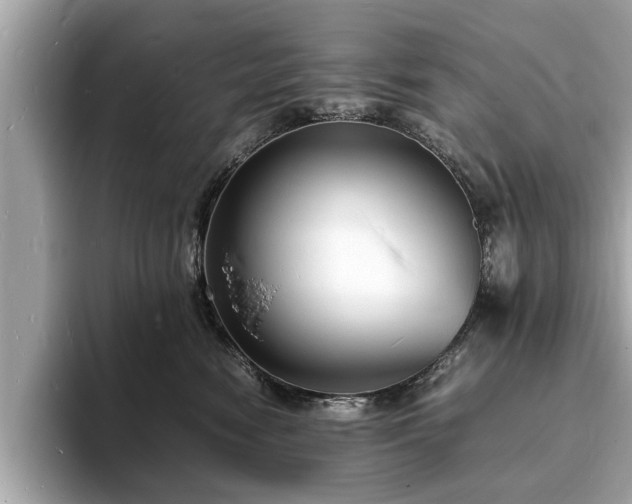 X0000094060474200710261229