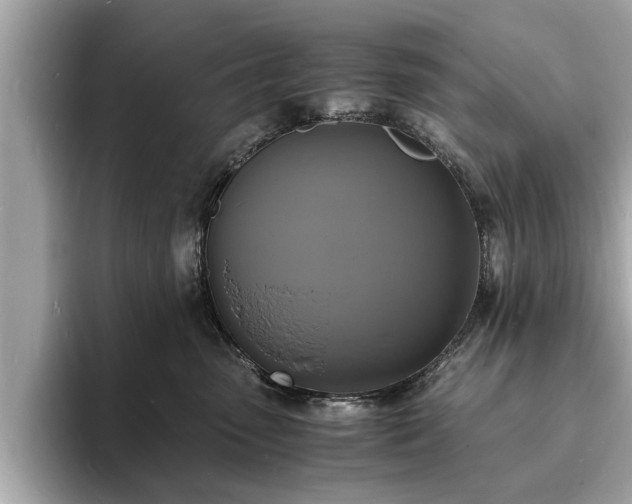 X0000094060475200710261229