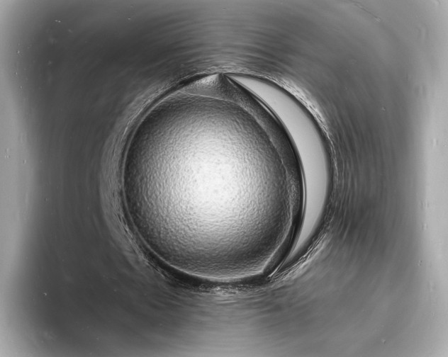 X0000094060481200710261229