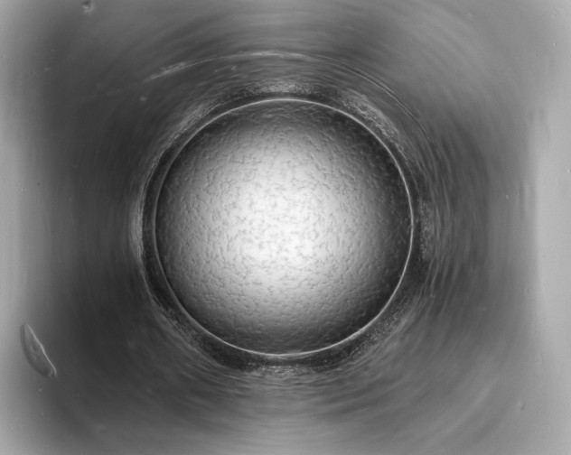 X0000094060482200710261229