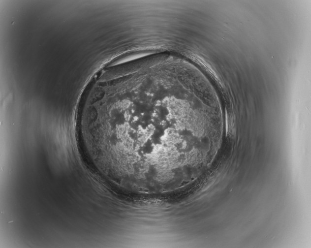 X0000094060483200710261229