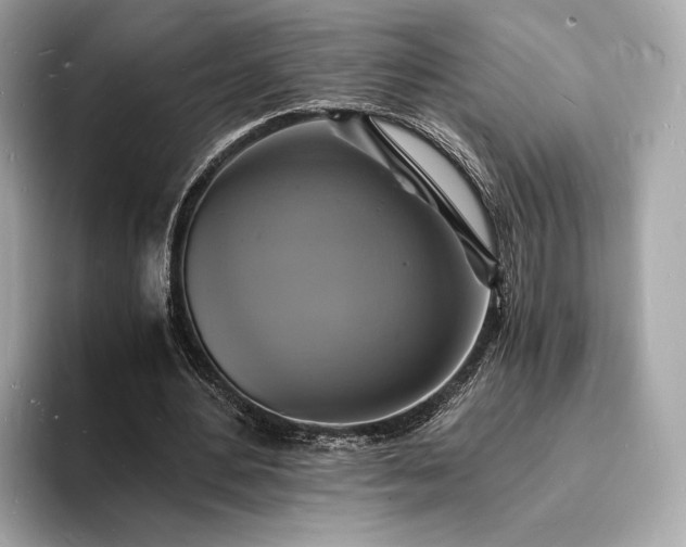 X0000094060484200710261229