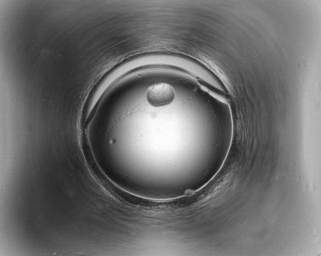 X0000094060485200710261229