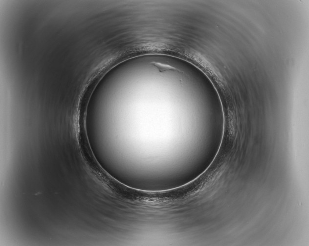 X0000094060486200710261229