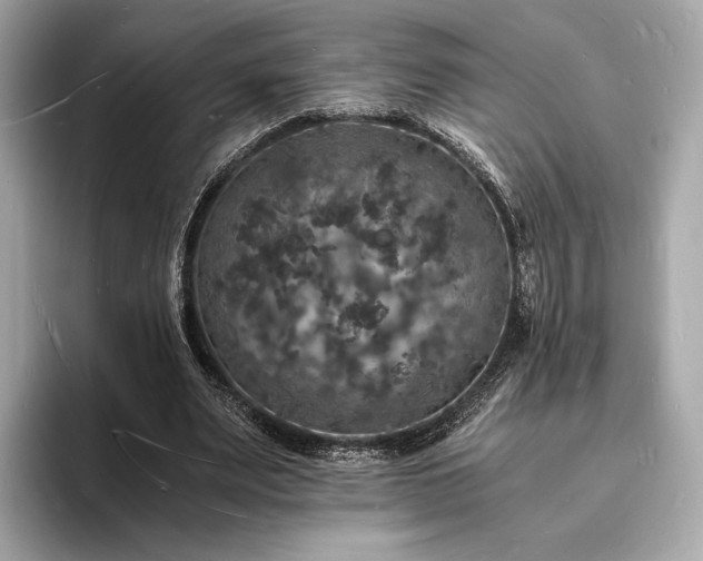 X0000094060487200710261229