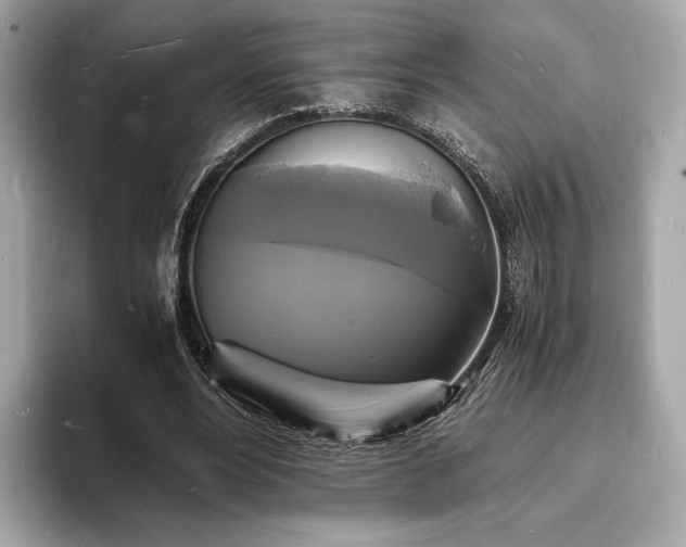 X0000094060488200710261229