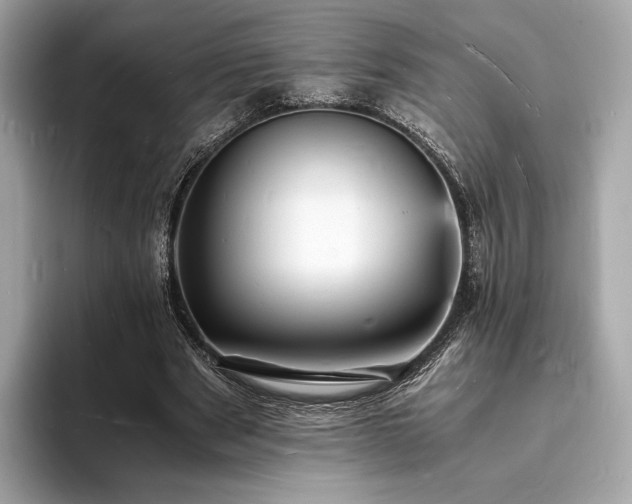 X0000094060489200710261229