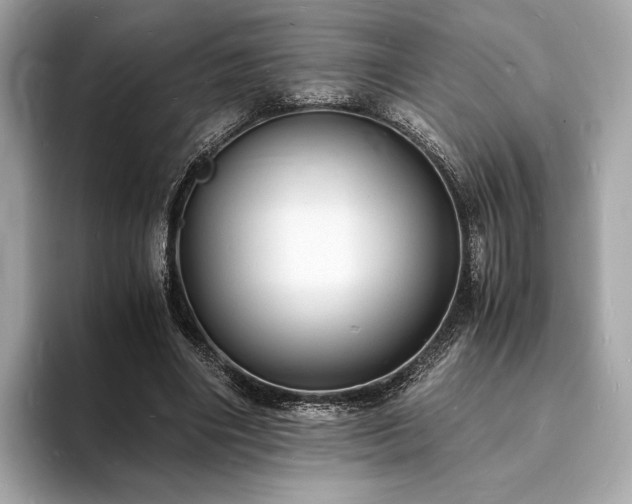 X0000094060490200710261229