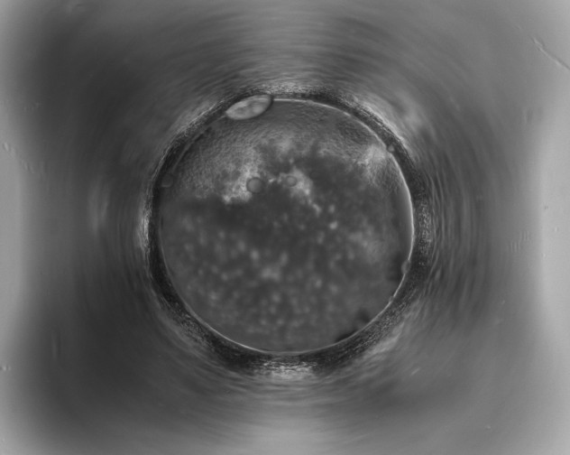 X0000094060491200710261229