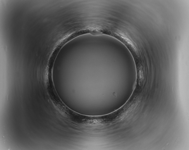 X0000094060492200710261229