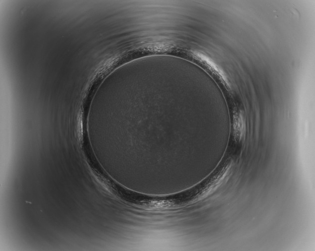 X0000094060493200710261229