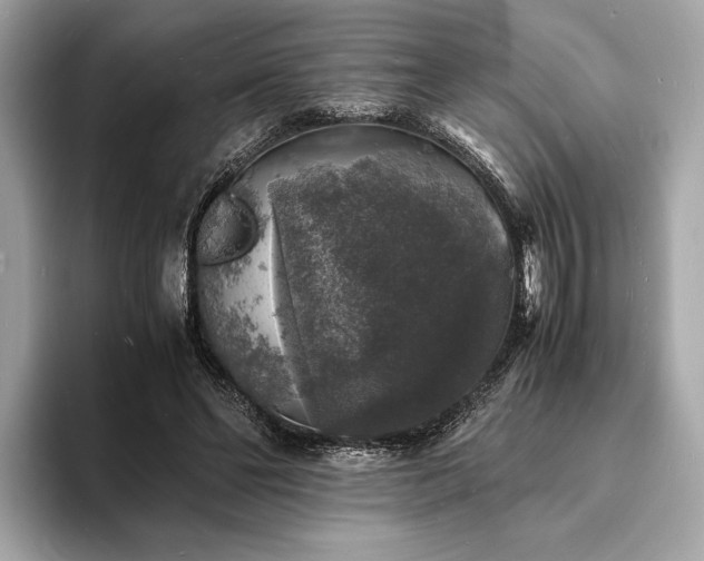 X0000094060494200710261229