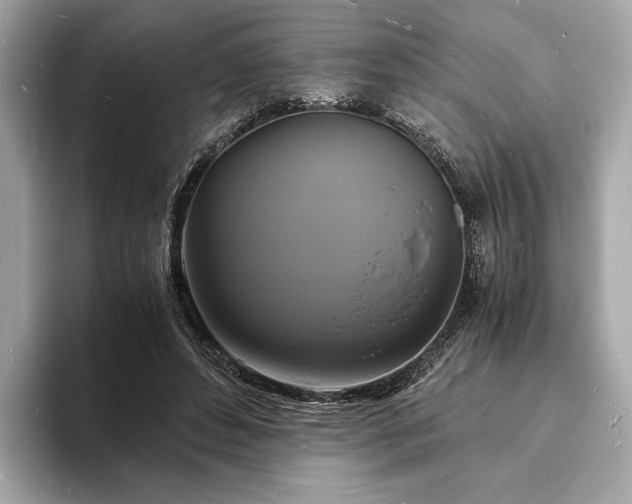 X0000094060496200710261228