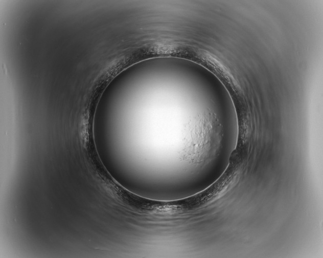 X0000094060497200710261228