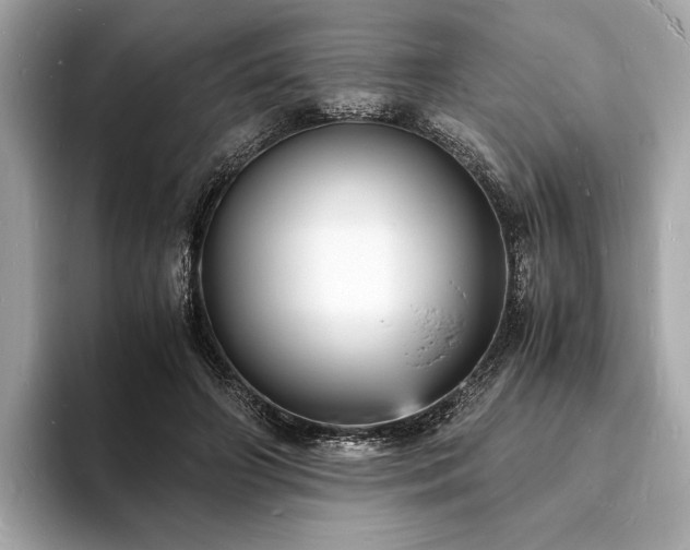 X0000094060498200710261228