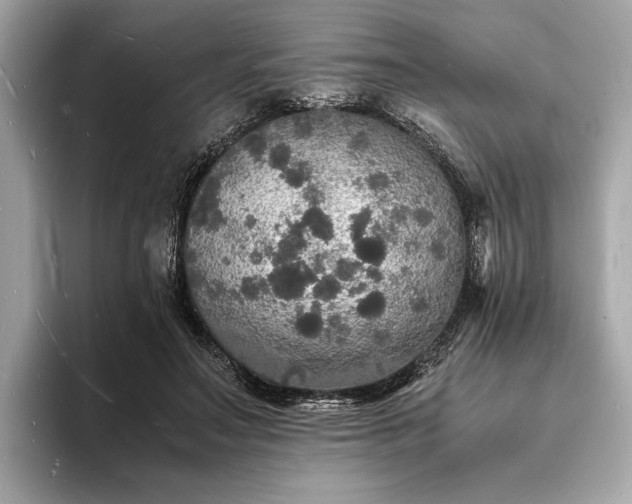 X0000094060499200710261228