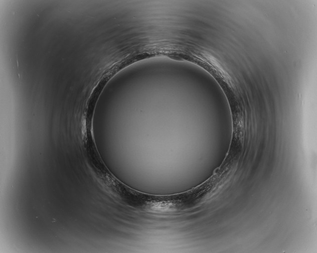 X0000094060500200710261228