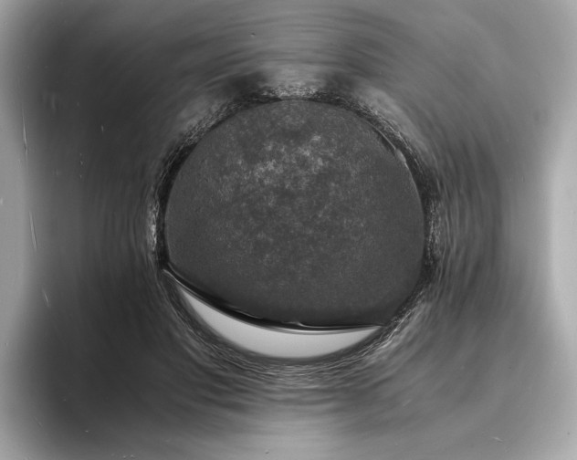 X0000094060501200710261228