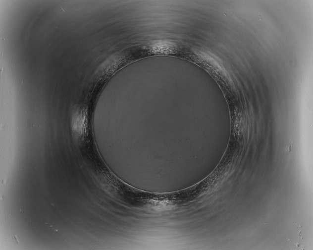 X0000094060502200710261228