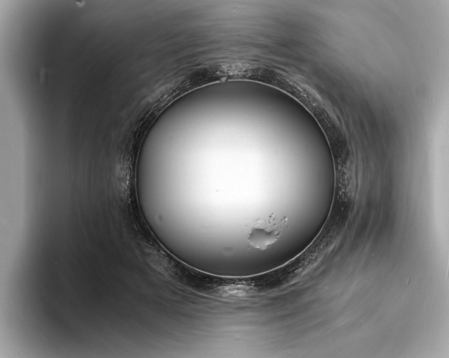 X0000094060505200710261228