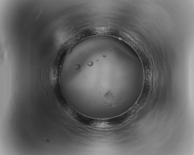 X0000094060507200710261228