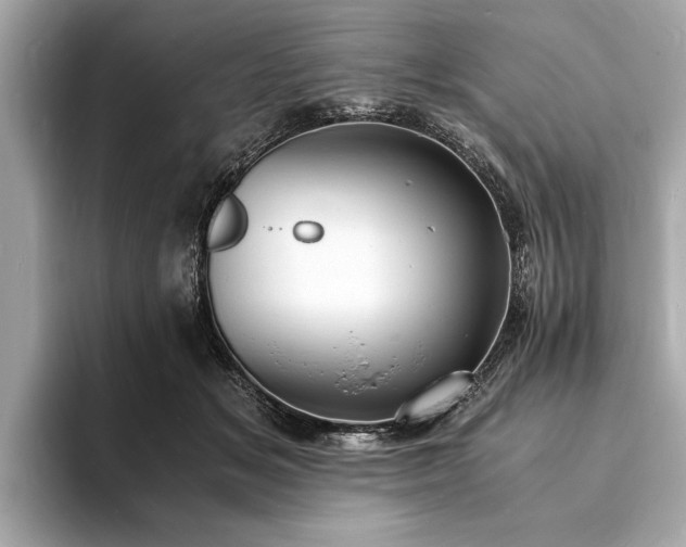 X0000094060509200710261228