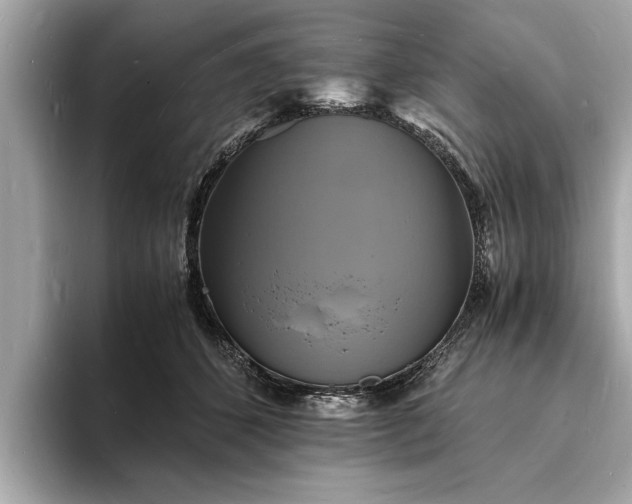 X0000094060512200710261228