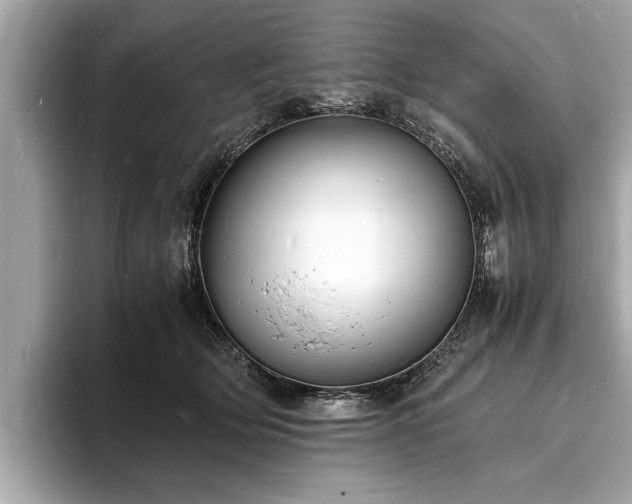 X0000094060514200710261228
