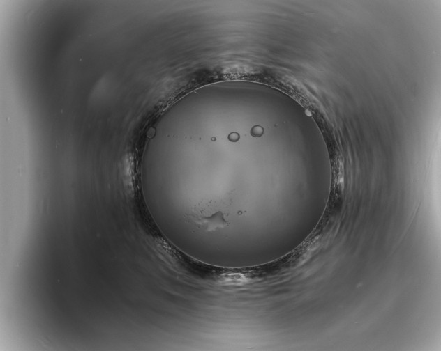 X0000094060519200710261228
