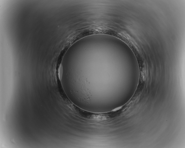 X0000094060520200710261228