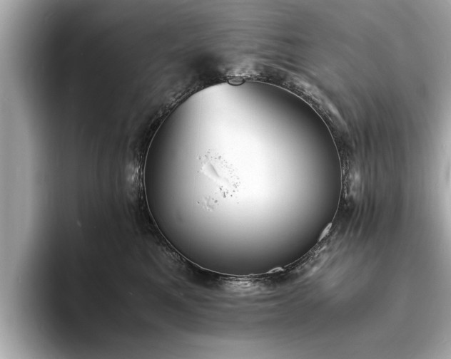 X0000094060521200710261228