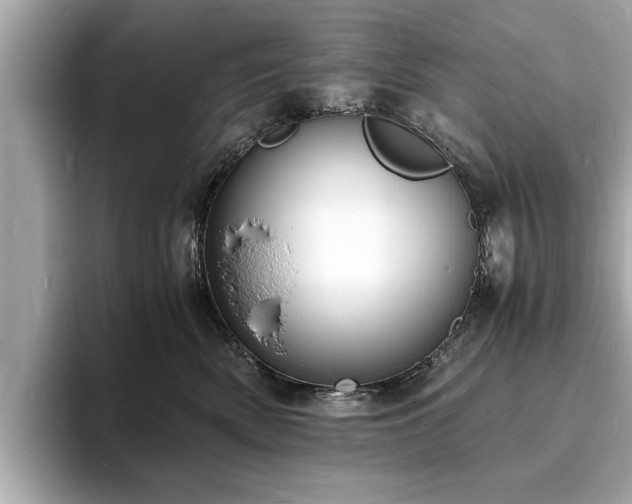 X0000094060522200710261228