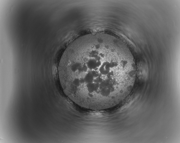X0000094060523200710261228