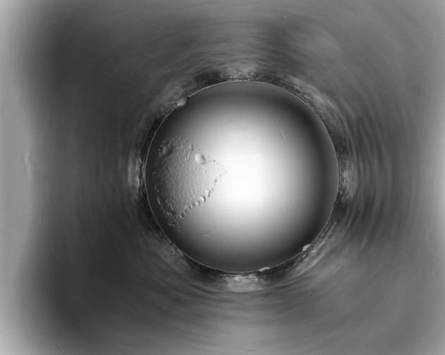X0000094060525200710261228