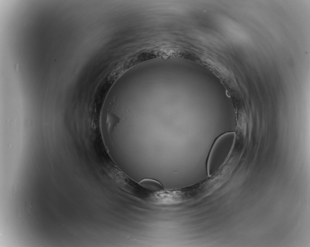 X0000094060526200710261228