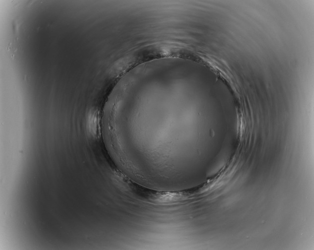 X0000094060527200710261228