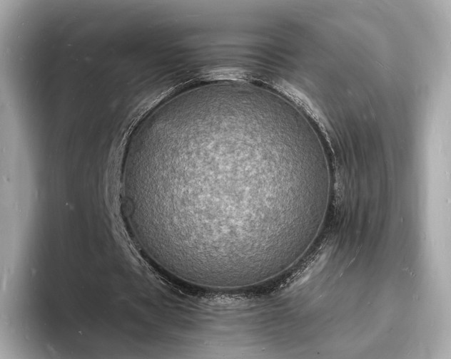 X0000094060529200710261227
