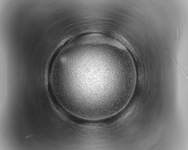 X0000094060530200710261227