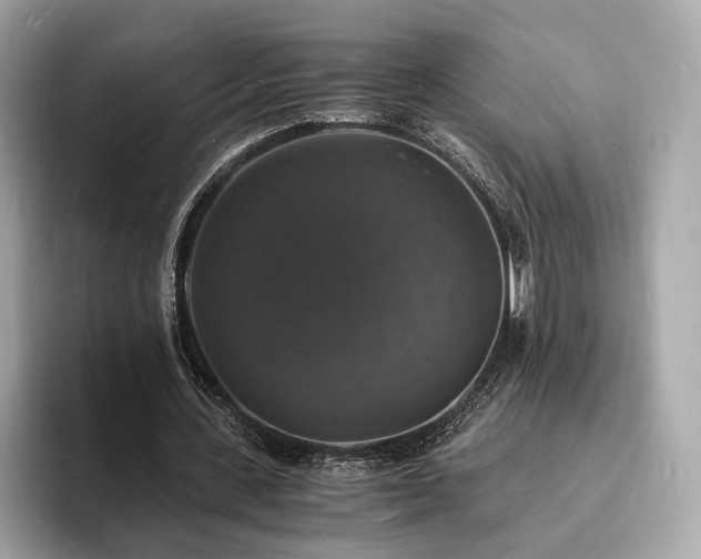 X0000094060531200710261227