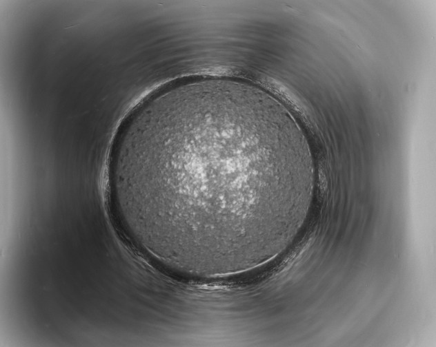 X0000094060532200710261227