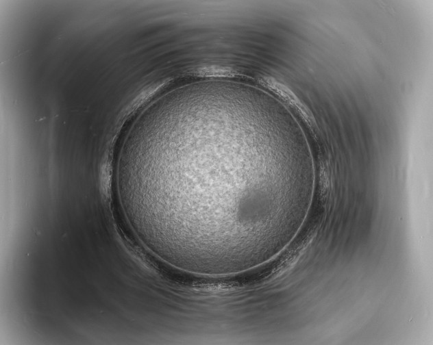 X0000094060533200710261227
