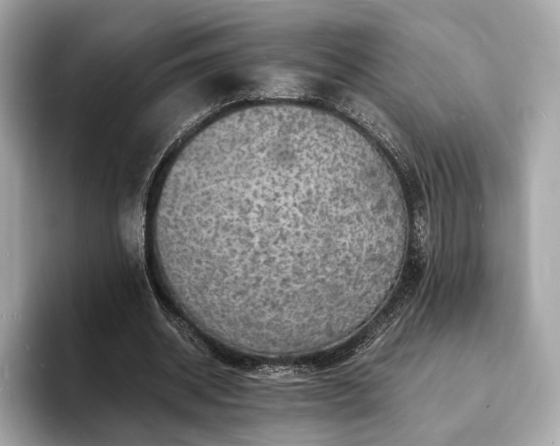 X0000094060534200710261227