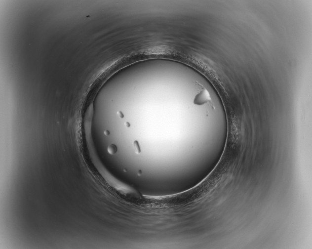 X0000094060535200710261228