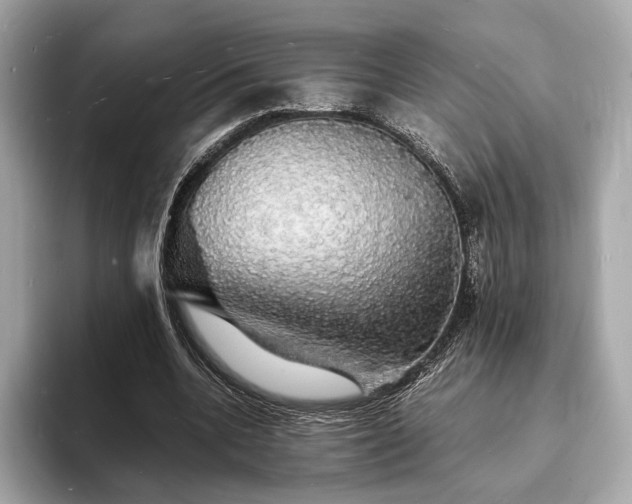 X0000094060536200710261228