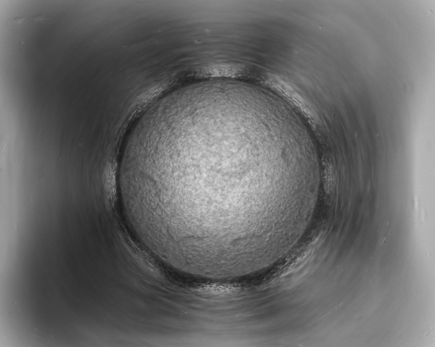X0000094060537200710261228